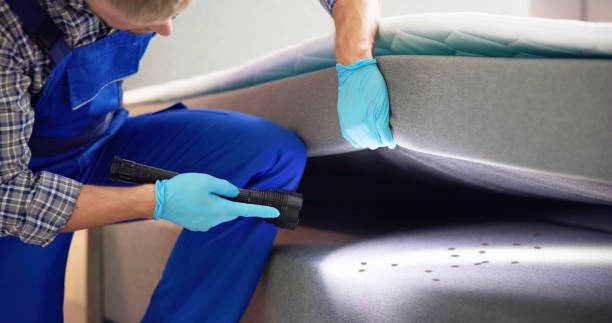 Trusted Claycomo, MO Pest Control Experts