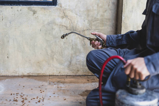 Best Commercial Pest Control Services  in Clayco, MO